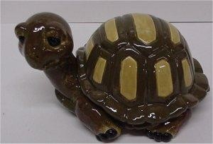 Turtle Box 6"L