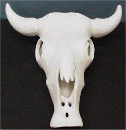 Cow Skull 10"x10"
