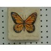 Butterfly Plaque 5.5"