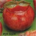 Apple Canister 7.5"W