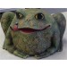 DH Garden Toad 7"x10"