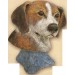 Beagle Dog Bust 4"t