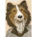 Collie Bust 4.25"t
