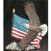 Eagle w/Flag 11.5"T
