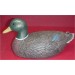 Mallard Duck 14" Long