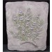 Rosemary Herb Plaque